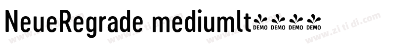 NeueRegrade mediumlt字体转换